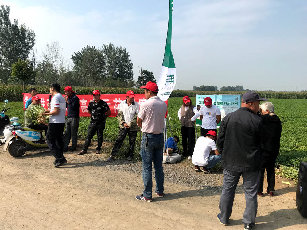 花生示范田.jpg
