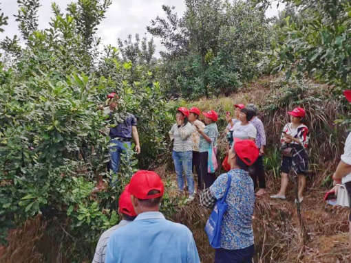 图2-2，园区观摩和果农们拍照学习_副本.jpg