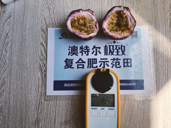 示范田果实甜度.jpg